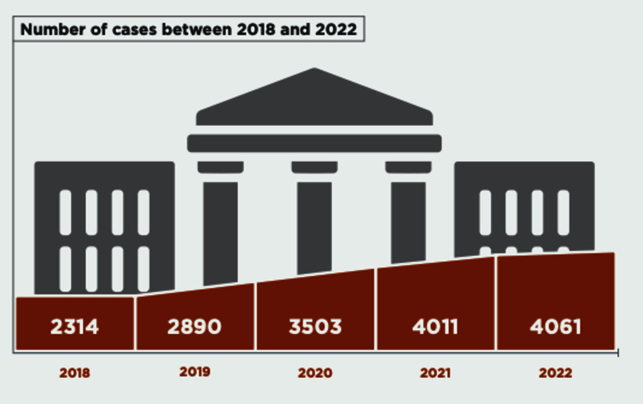 UsableNet: Number of cases between 2018 and 2022: 2314 cases in 2018, 2890 cases in 2019, 3503 cases in 2020, 4011 cases in 2021, 4061 cases in 2022.